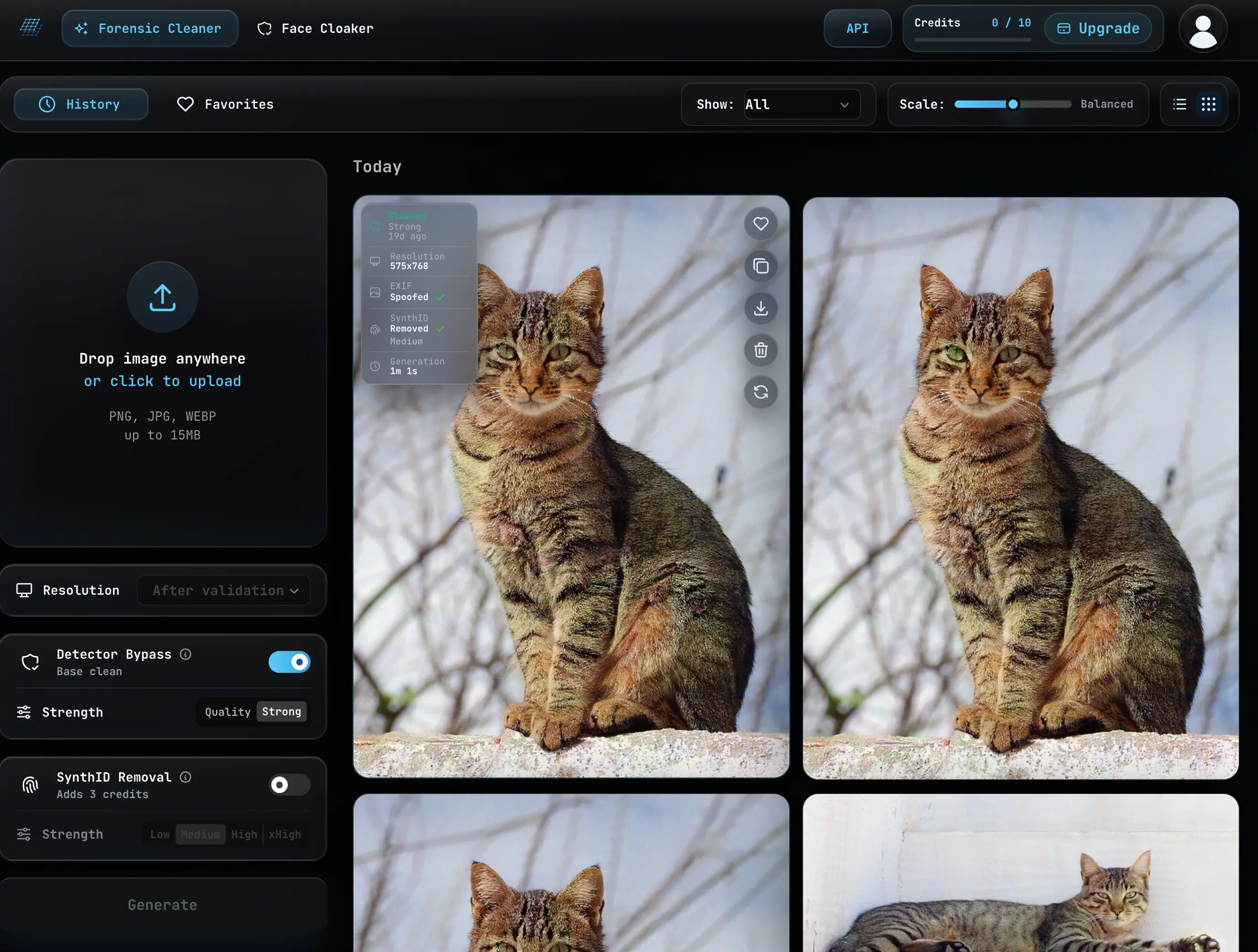 Forensic Cleaner detailed view showing cleaned status, EXIF spoofed, SynthID removed