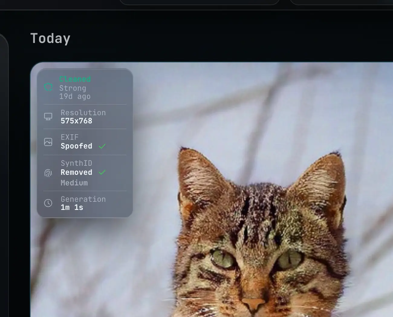 Forensic Cleaner app interface showing cleaned images